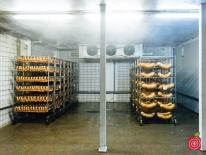 Камеры охлаждения и хранения для мясных субпродуктов